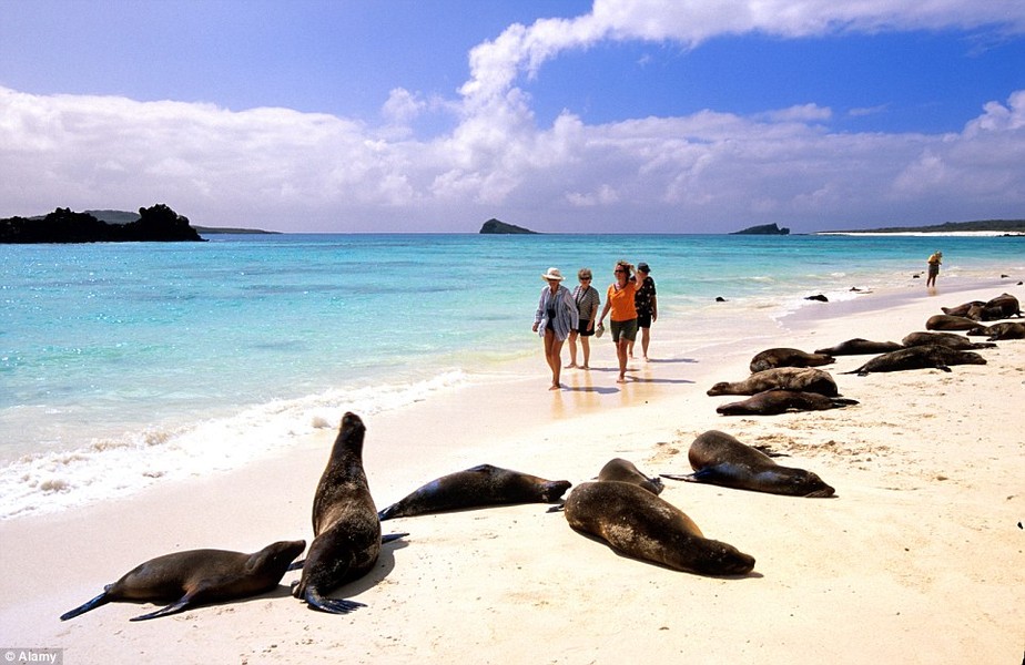 Hòn đảo Galapagocs, cách Ecuador 600 hải lý theo hướng tây, nổi tiếng về sự đa dạng của các loài động, thực vật cũng như những cảnh quan thiên nhiên đẹp tuyệt vời. Các độc giả Travel + Leisure đã chọn Galapagocs đứng đầu trong danh sách " 10  hòn đảo thiên đường dành cho du khách".